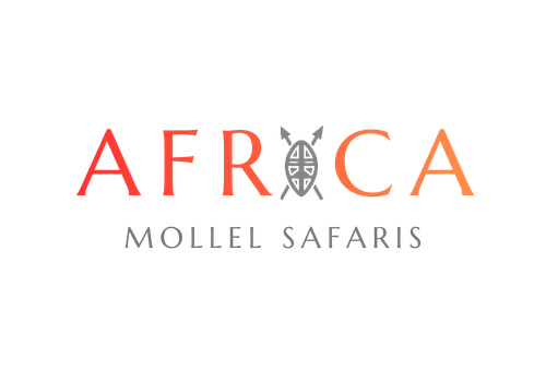 Africa Mollel Safaris Logo