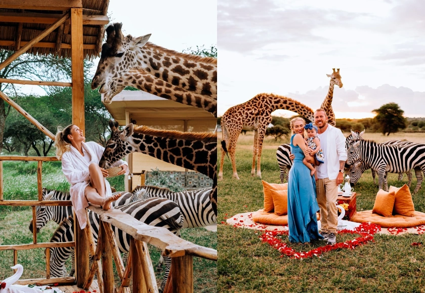 Serval wildlife Trip